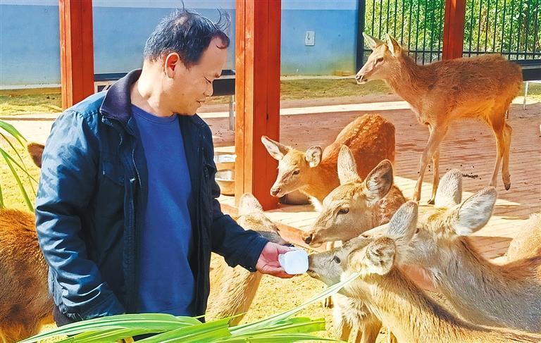 量发展产业调研】林下生金不朽情缘正规网站